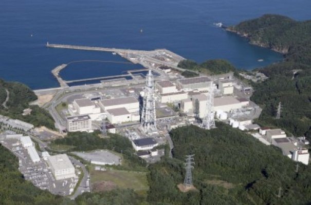 Fluturi mutanţi în Japonia